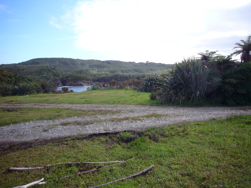 Travel - New Zealand - West Coast - Constant Bay